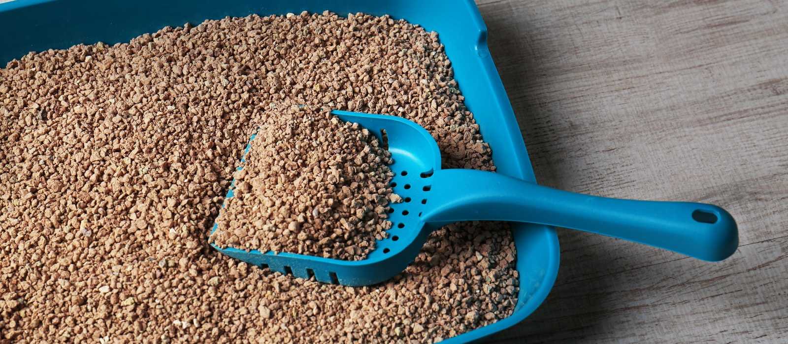 Thinkhow Some Seniors Are Getting Cat Litter Delivered to Their Homes